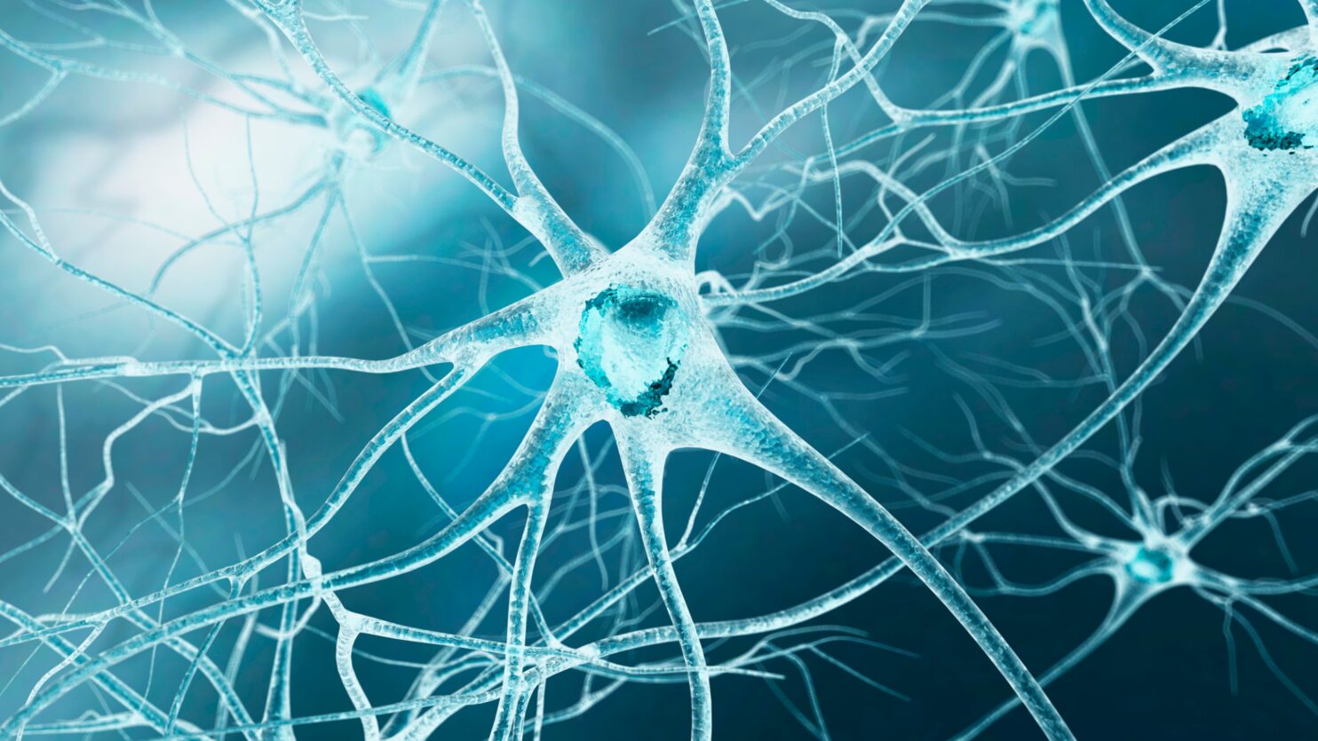 Understanding Nerve Pain Symptoms Causes and Treatment Options